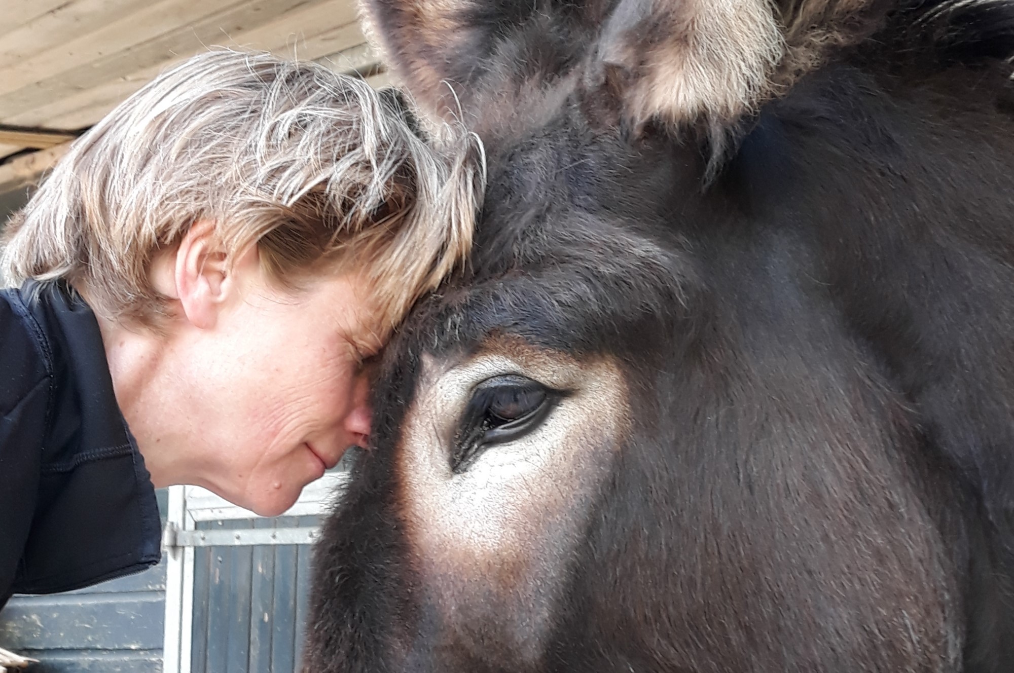 Natuur- en Diersensitief